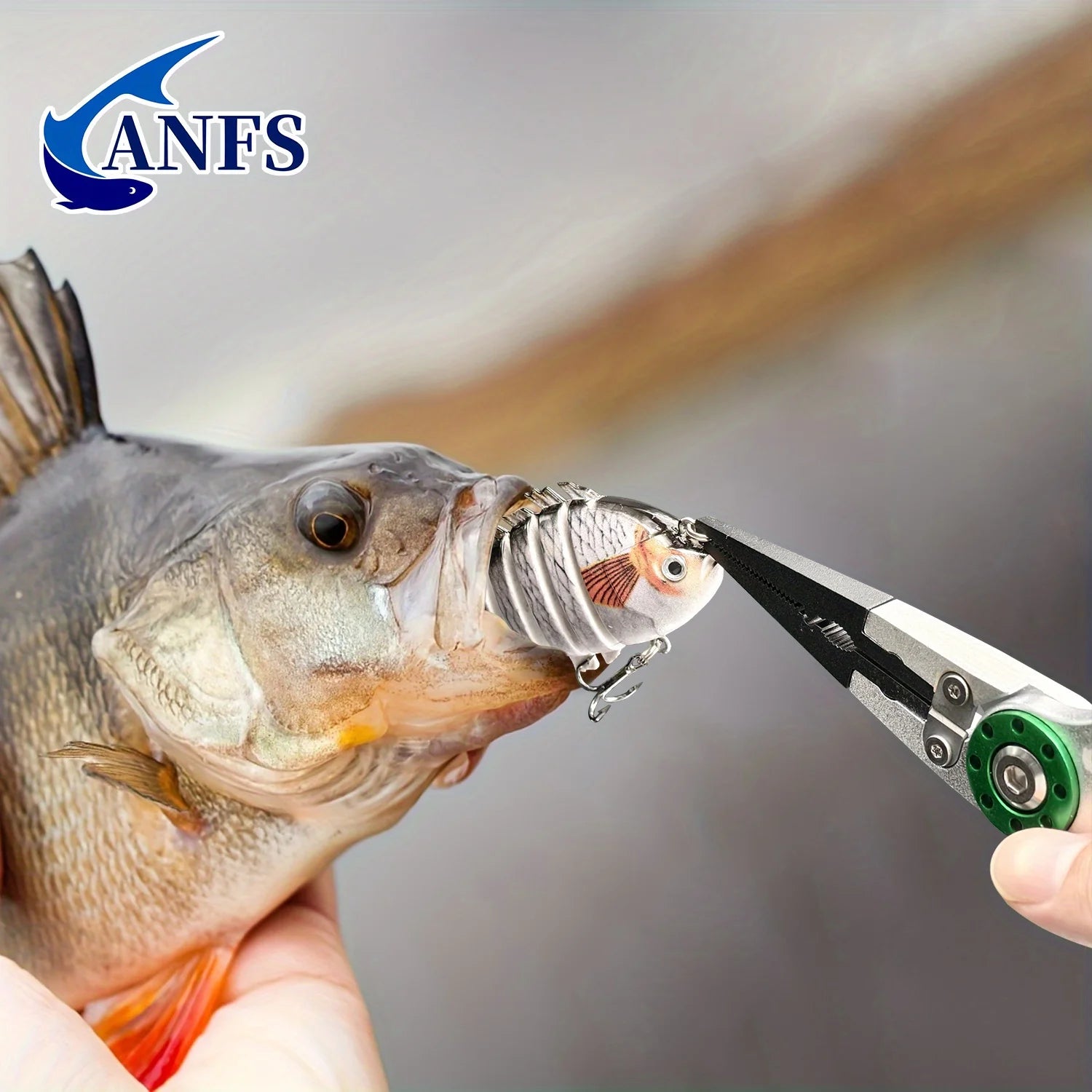 ANFS Fishing Lip Gripper Pliers Tool - Fish Lip Gripper with Scale, 40 Pound Fishing Gripper- Lockable Handy Fishing Pliers